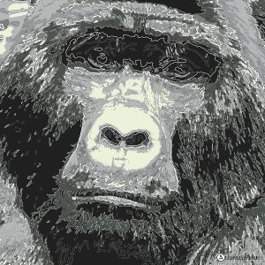 Abstractified Gorilla