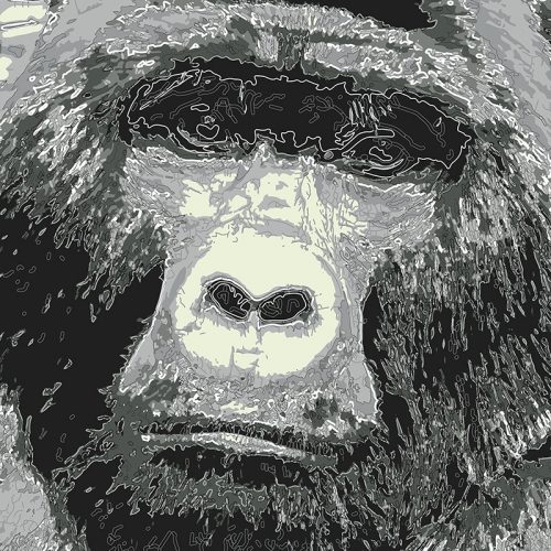 Abstractified Gorilla
