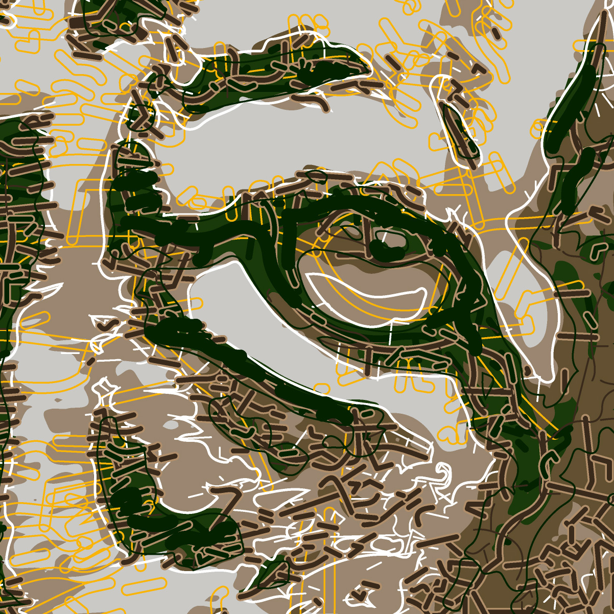 Abstractified Tiger