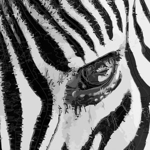 Abstractified Zebra